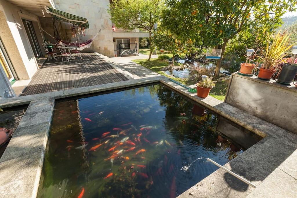 Sweet Home Braga - 4 Rooms Apartment المظهر الخارجي الصورة